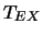 $T_{EX}$