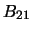 $B_{21}$