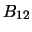 $B_{12}$