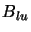 $B_{lu}$