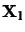 ${\bf X_l}$
