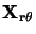 ${\bf X_{r\theta}}$