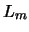 $L_m$