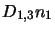 $D_{1,3}n_1$