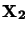 ${\bf X_2}$