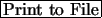 \fbox{Print to File}